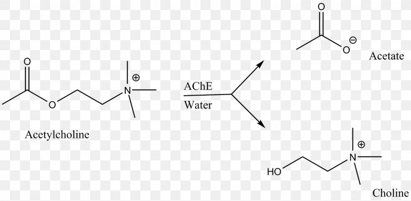 Triangle Brand Point, PNG, 1600x784px, Triangle, Area, Black And White, Brand, Diagram Download Free