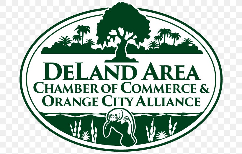 DeLand Area Chamber Of Commerce DeLand Christmas Boat Parade Business