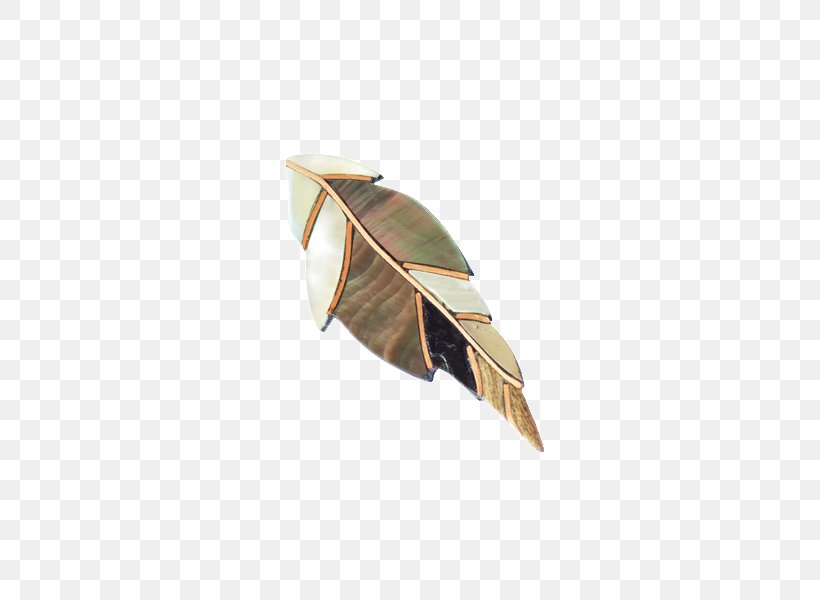 Earring Jewellery Brooch Feather, PNG, 600x600px, Earring, Brooch, Feather, Jewellery, Wing Download Free