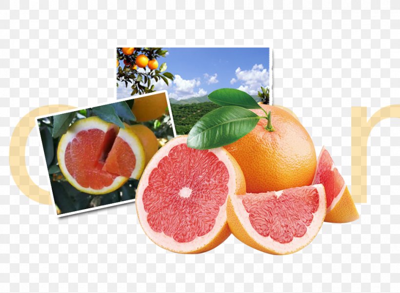 Grapefruit Juice Grapefruit Juice Organic Food Berry, PNG, 966x709px, Juice, Antioxidant, Berry, Citric Acid, Citrus Download Free