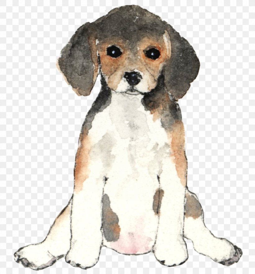 Puppy Dog Breed Beagle Companion Dog Dog Training, PNG, 1000x1074px, Puppy, Beagle, Bed, Breed, Carnivoran Download Free