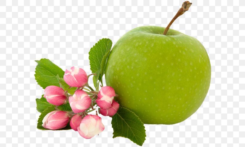 Apple Granny Smith Blossom Flower Fruit, PNG, 600x492px, Apple, Apples, Auglis, Blossom, Diet Food Download Free