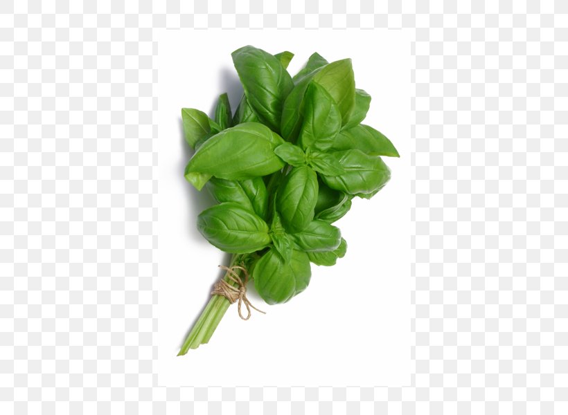 Basil Pizza Syrup Herbal Tea, PNG, 600x600px, Basil, Agave Nectar, Cafe, Cook, Food Download Free