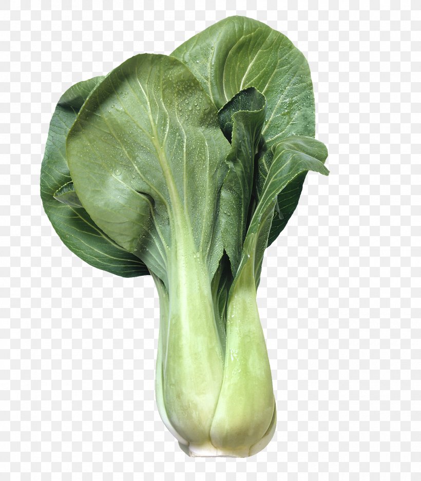 Cabbage Chinese Cuisine Bok Choy Vegetable Chard, PNG, 1400x1600px, Cabbage, Bok Choy, Brassica, Brassica Oleracea, Chard Download Free