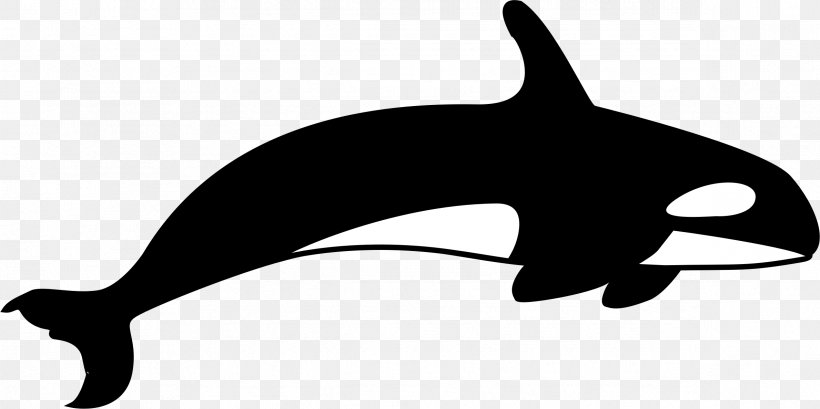 Killer Whale T-shirt Clip Art, PNG, 2379x1188px, Killer Whale, Beluga Whale, Black, Black And White, Blowhole Download Free