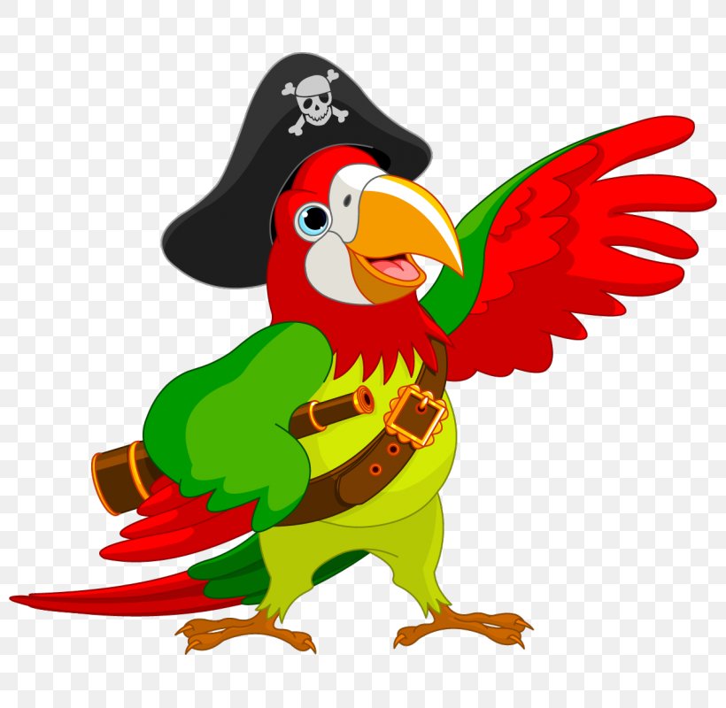 Pirate Parrot Piracy Jack Sparrow Clip Art, PNG, 800x800px, Parrot, Animal Figure, Art, Beak, Bird Download Free