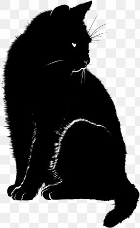 Black Cat Bombay Cat Domestic Short-haired Cat Dream Wildcat PNG