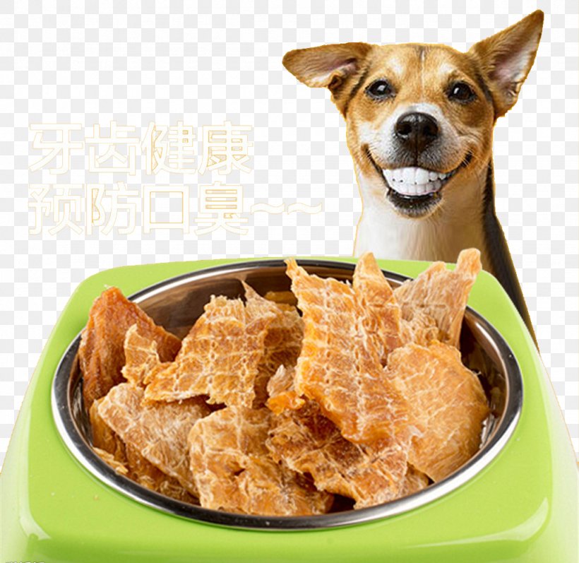 Dog Food Puppy Cat Pet, PNG, 1024x996px, Chihuahua, Cat, Cuisine, Dentures, Dish Download Free