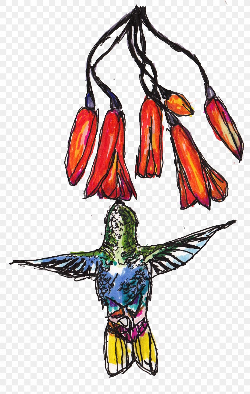 Macaw Costume Design Beak, PNG, 1165x1830px, Macaw, Art, Beak, Bird, Character Download Free