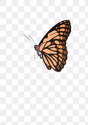 Colour Clipart - Monarch Butterfly Markesot Bertutur Clip Art PNG