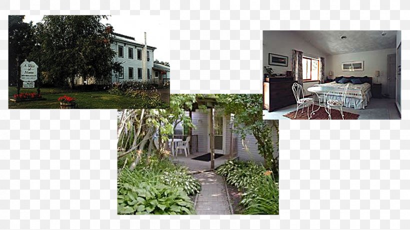 Backyard Tree Property Urban Design, PNG, 888x500px, Backyard, Cottage, Estate, Facade, Flora Download Free