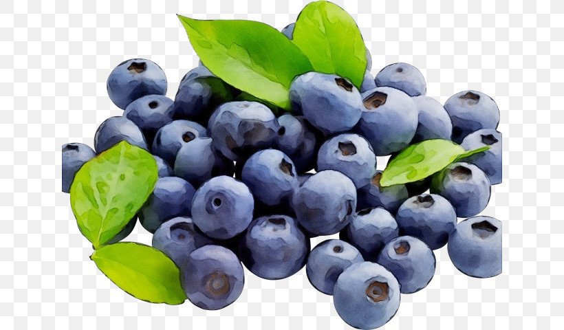 Bilberry Berry Blueberry Fruit Superfood, PNG, 640x480px, Watercolor, Berry, Bilberry, Blue, Blueberry Download Free
