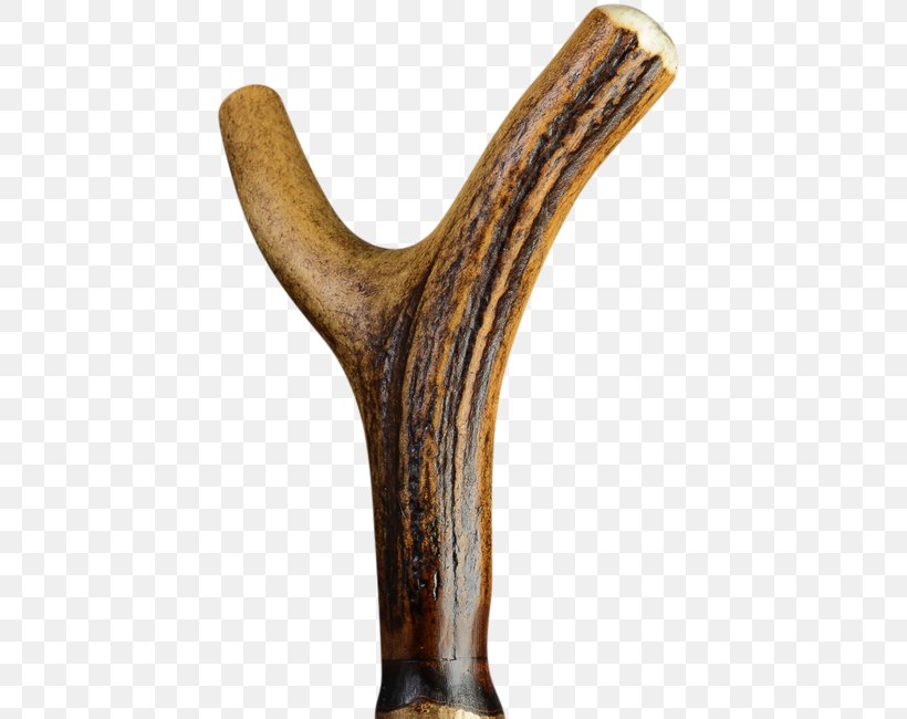 Antler Red Deer Horn Bastone, PNG, 550x650px, Antler, Assistive Cane, Bastone, Deer, Hand Download Free