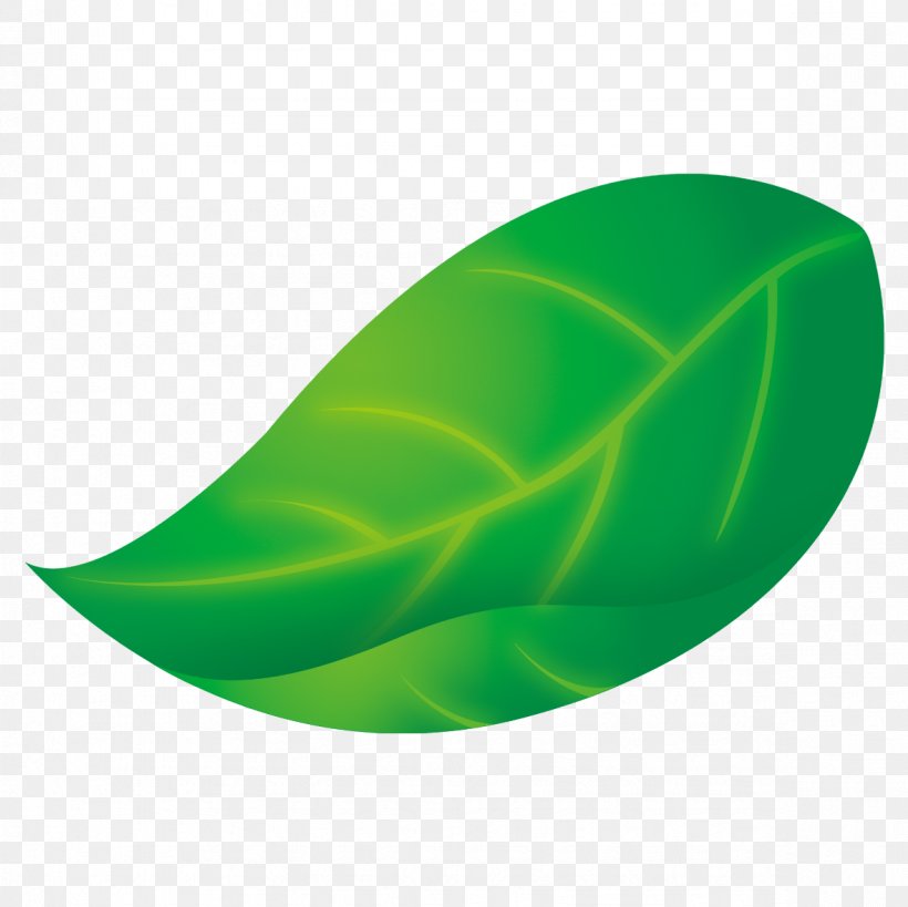 Leaf Green Chart, PNG, 1181x1181px, Leaf, Chart, Green, Maple Leaf, Nature Download Free