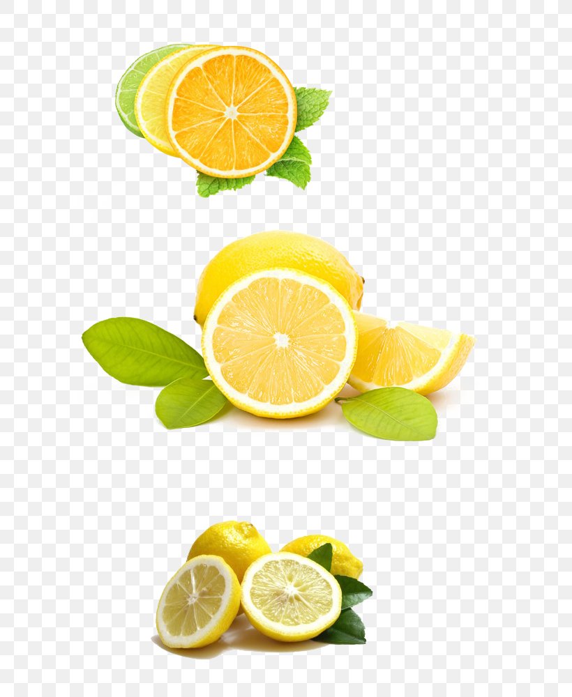 Lemon Juice Variegated Pink Lemon Tonic Water Lemon Battery, PNG, 600x1000px, Juice, Citric Acid, Citron, Citrus, Citrus Reamer Download Free