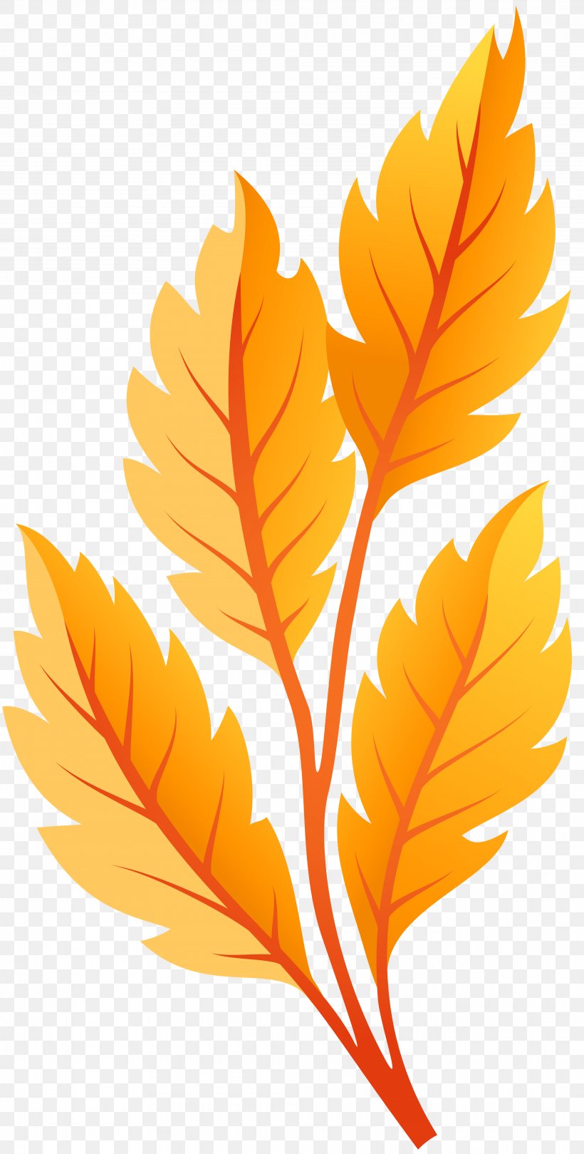 Autumn Leaf Color Clip Art, PNG, 4050x8000px, Leaf, Art, Autumn, Autumn Leaf Color, Branch Download Free