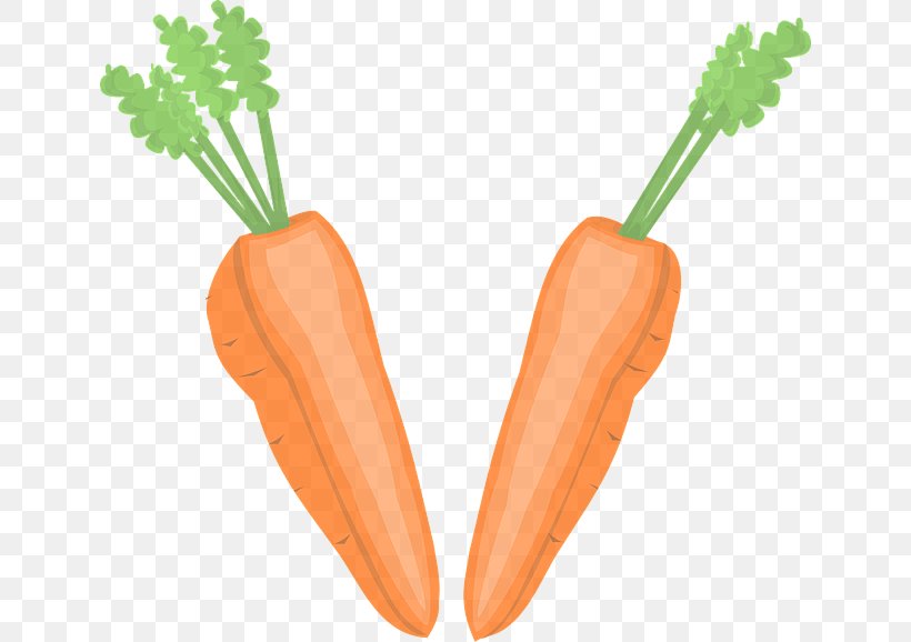 Carrot Root Vegetable Baby Carrot Vegetable Wild Carrot, PNG, 640x578px, Carrot, Baby Carrot, Food, Plant, Root Vegetable Download Free