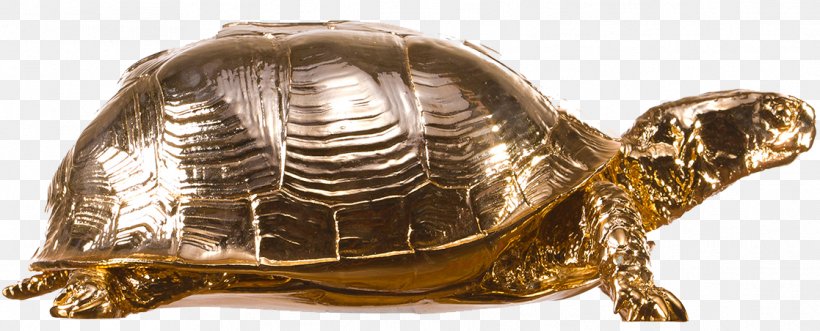 Box Turtle Reptile Turtle Shell, PNG, 1117x452px, Turtle, Animal, Box, Box Turtle, Chelydridae Download Free