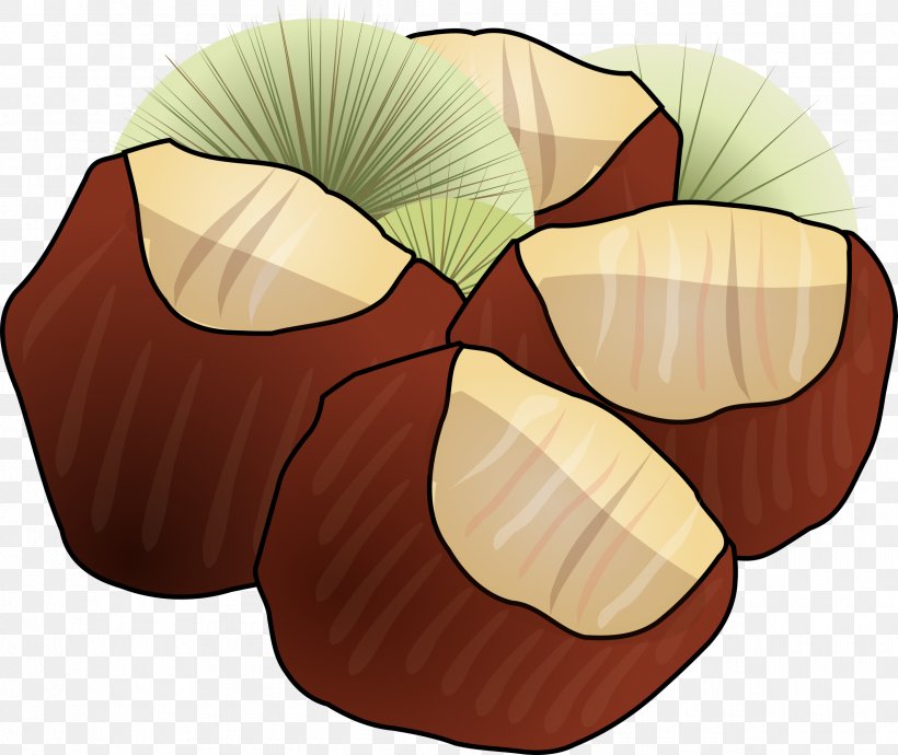 Chestnut Clip Art, PNG, 2400x2022px, Chestnut, Cartoon, Drawing, Food, Maple Download Free