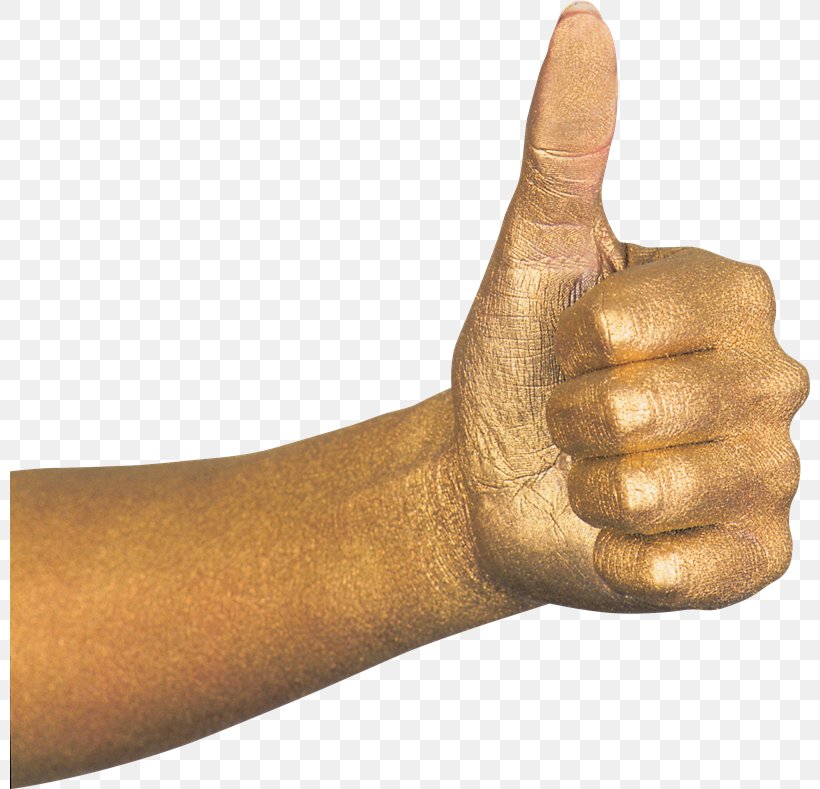 Thumb Signal Hand Shoulder, PNG, 800x789px, Thumb, Animal, Arm, Finger, Getty Images Download Free