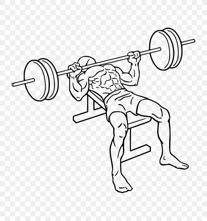 Bench Press Barbell Exercise Biceps Curl, PNG, 1120x1200px, Bench Press, Area, Arm, Art, Artwork Download Free