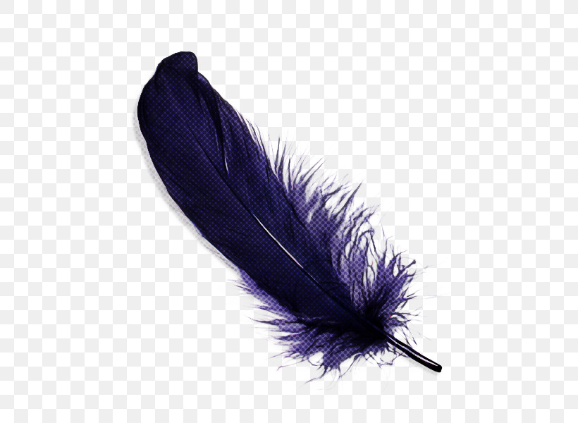 Feather, PNG, 600x600px, Feather, Costume Accessory, Fur, Pen, Purple Download Free
