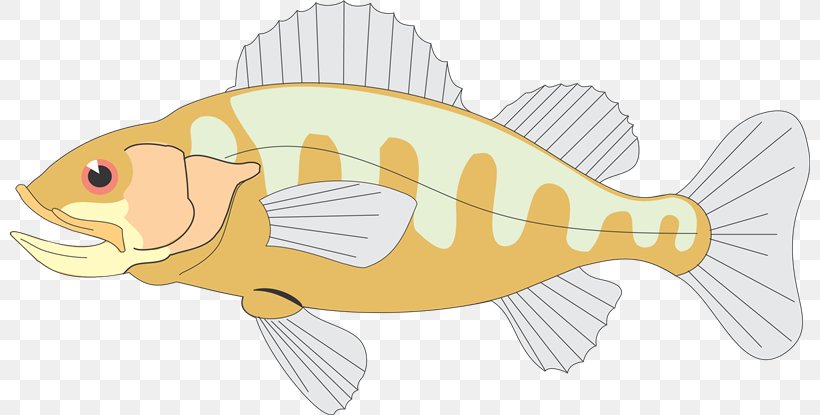 Food Chain Tail Fish Clip Art, PNG, 800x415px, Food Chain, Animal Figure, Fauna, Fish, Line Art Download Free