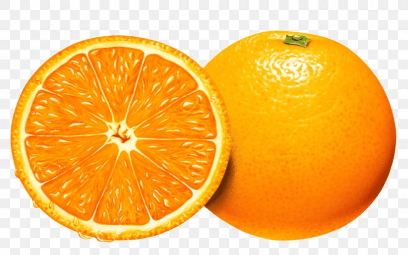 Fruit Clip Art, PNG, 957x600px, Fruit, Bitter Orange, Citric Acid, Citron, Citrus Download Free