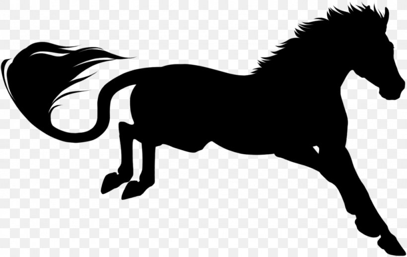 Mustang Mane Halter Pony Stallion, PNG, 1024x648px, Mustang, Animal Figure, Black, Blackandwhite, Bridle Download Free