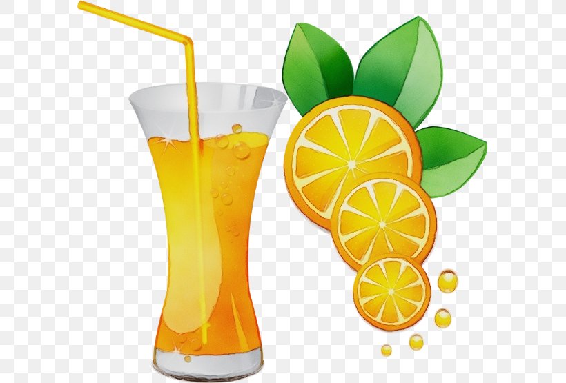 Orange, PNG, 600x555px, Watercolor, Cocktail Garnish, Drink, Food, Juice Download Free