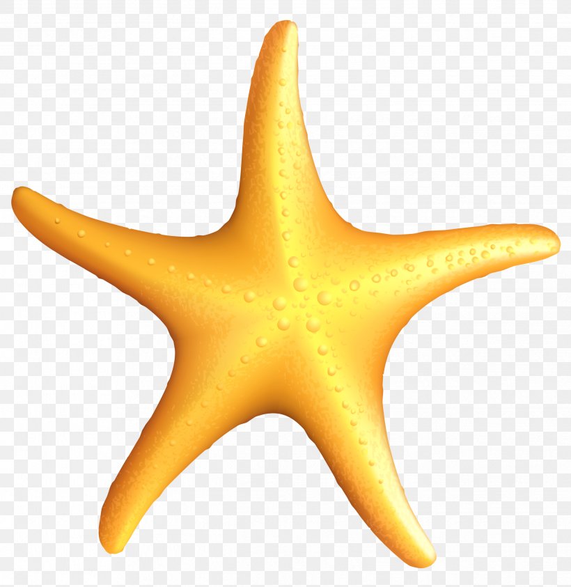 Starfish Clip Art, PNG, 2488x2558px, A Sea Star, Color, Cuteness, Echinoderm, Invertebrate Download Free