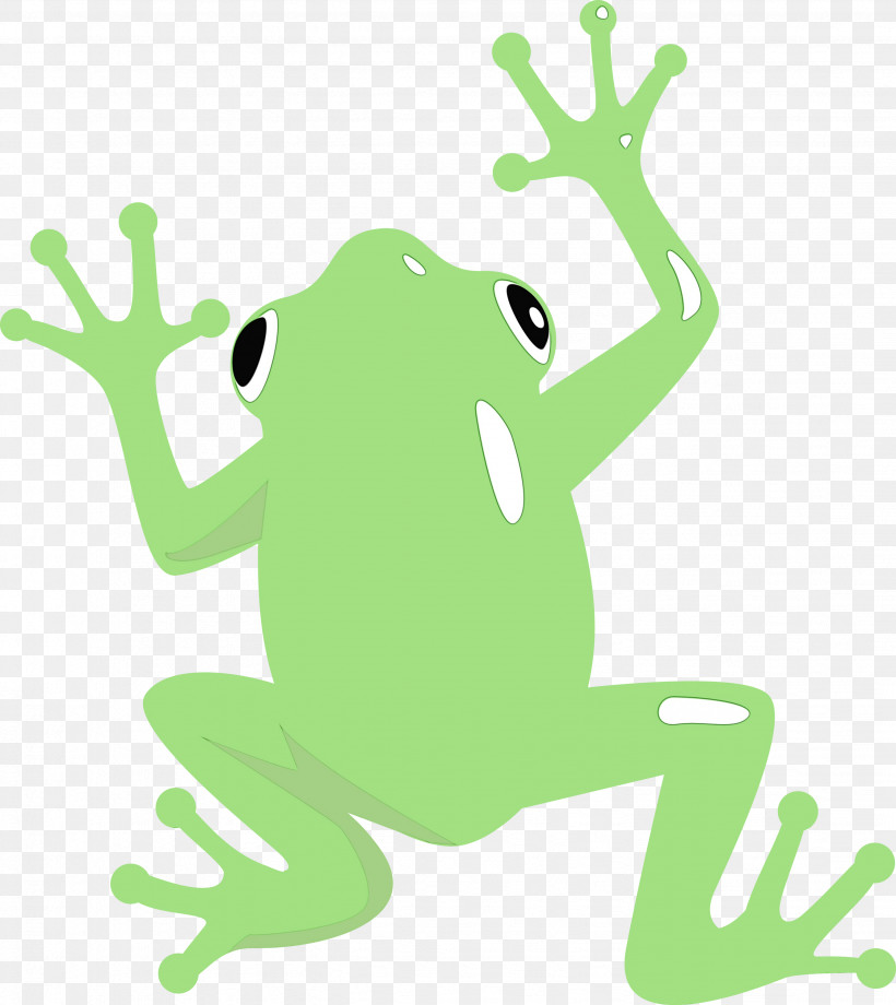 True Frog Tree Frog Frogs Cartoon Toad, PNG, 2673x3000px, Frog, Cartoon, Frogs, Line, Meter Download Free