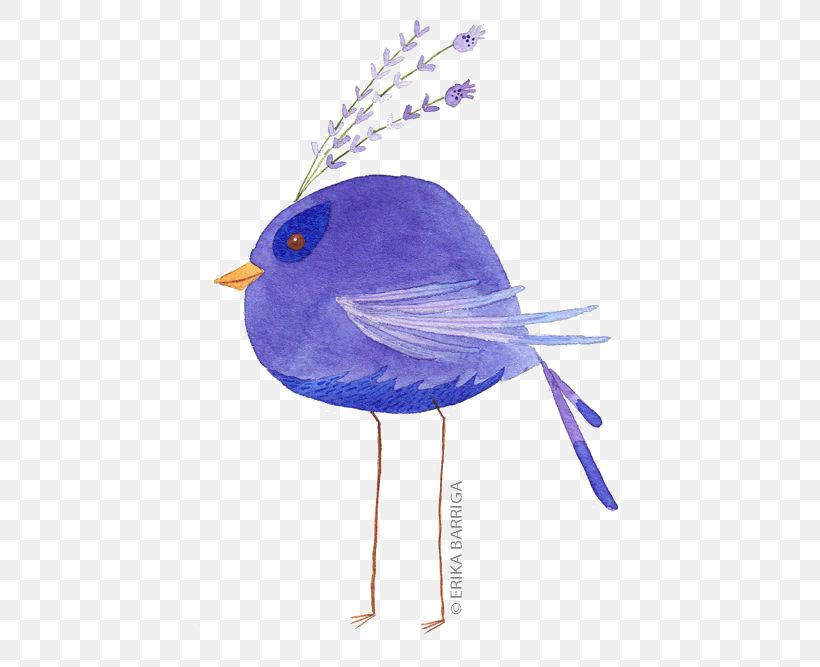 Bird Watercolor Painting Illustration, PNG, 500x667px, Bird, Art, Beak, Blue, Bluebird Download Free