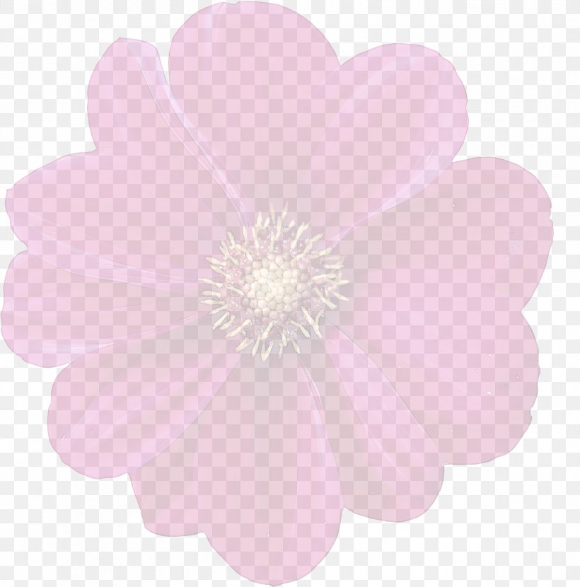 Petal Pink Flower Plant Herbaceous Plant, PNG, 2393x2423px, Petal, Flower, Herbaceous Plant, Pink, Plant Download Free