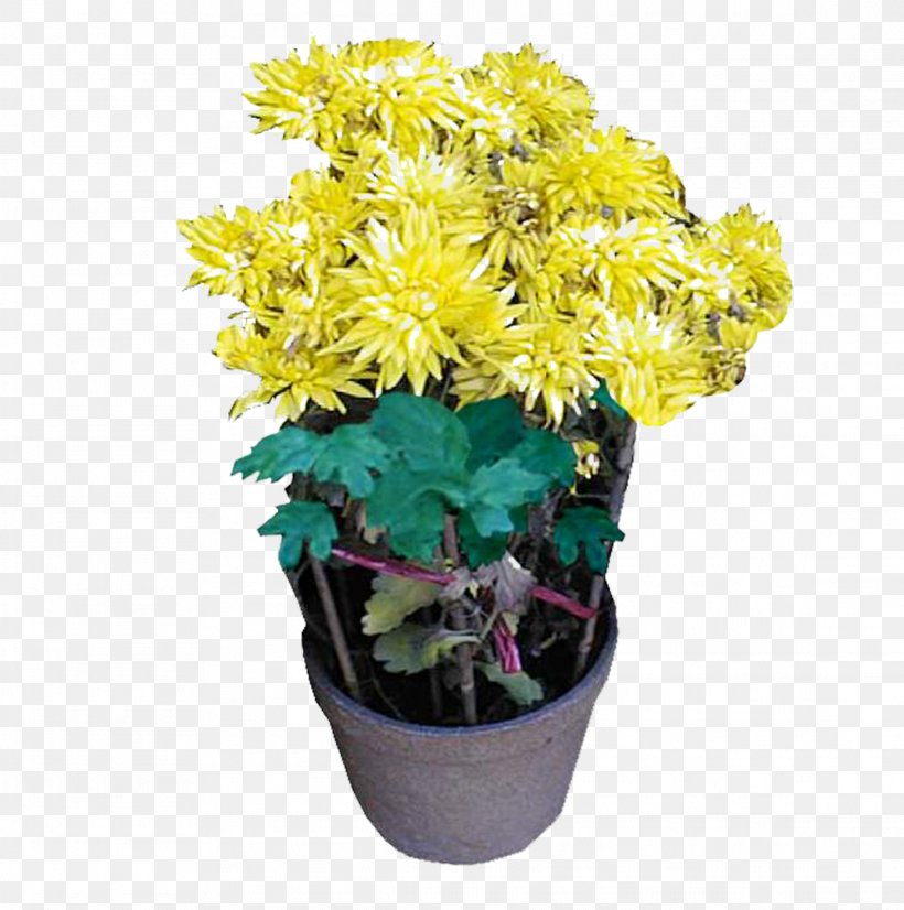 Chrysanthemum Flowerpot Bonsai, PNG, 2281x2299px, Chrysanthemum, Artificial Flower, Bonsai, Chrysanths, Cut Flowers Download Free
