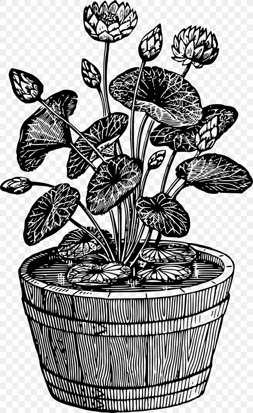 Flowerpot Houseplant Drawing, PNG, 1442x2353px, Flower, Art, Black And White, Drawing, Flora Download Free