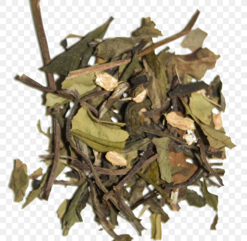 Nilgiri Tea Hōjicha Ingredient Tea Plant, PNG, 800x800px, Nilgiri Tea, Bai Mudan, Bancha, Dianhong, Hojicha Download Free