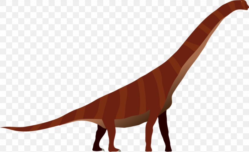 Tyrannosaurus Velociraptor, PNG, 1024x627px, Tyrannosaurus, Dinosaur, Organism, Tail, Velociraptor Download Free