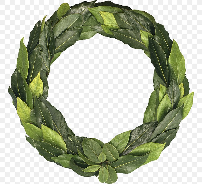 Ancient Greece Laurel Wreath Leaf Olive Wreath, PNG, 757x748px, Ancient Greece, Bay Laurel, Crown, Culture, Flower Download Free