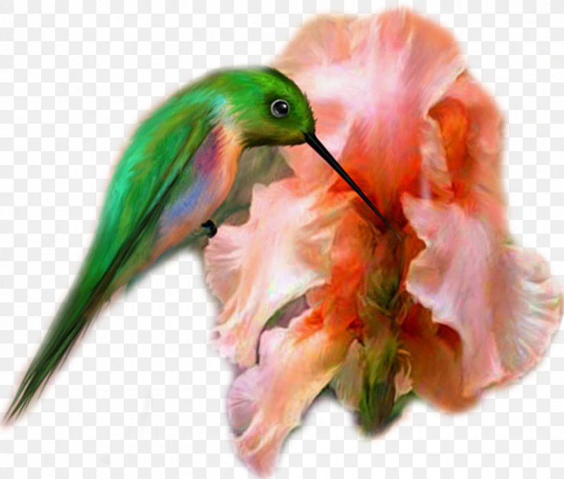 Hummingbird M Painting Beak Kocaeli Province, PNG, 1200x1020px, 2017, Bird, Advertising, Beak, Diamond Download Free