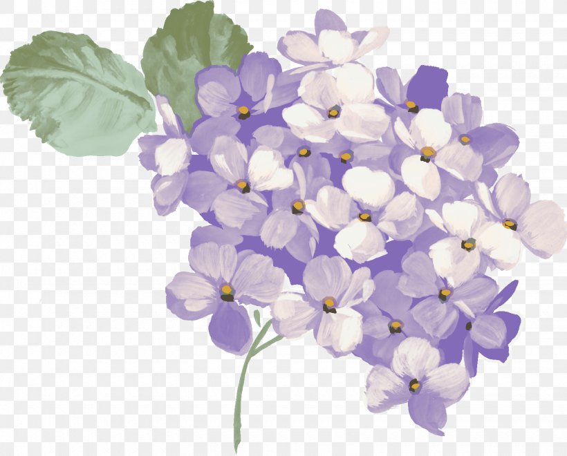 Hydrangea Download Clip Art, PNG, 1540x1241px, Hydrangea, Coreldraw, Cornales, Cut Flowers, Flower Download Free