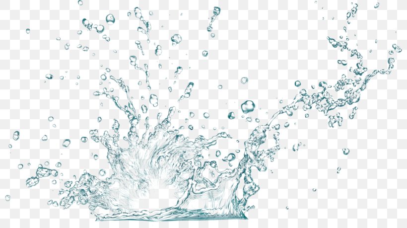 Water Splash Drop Liquid, PNG, 800x459px, Water, Branch, Color Of Water, Drawing, Drinking Water Download Free