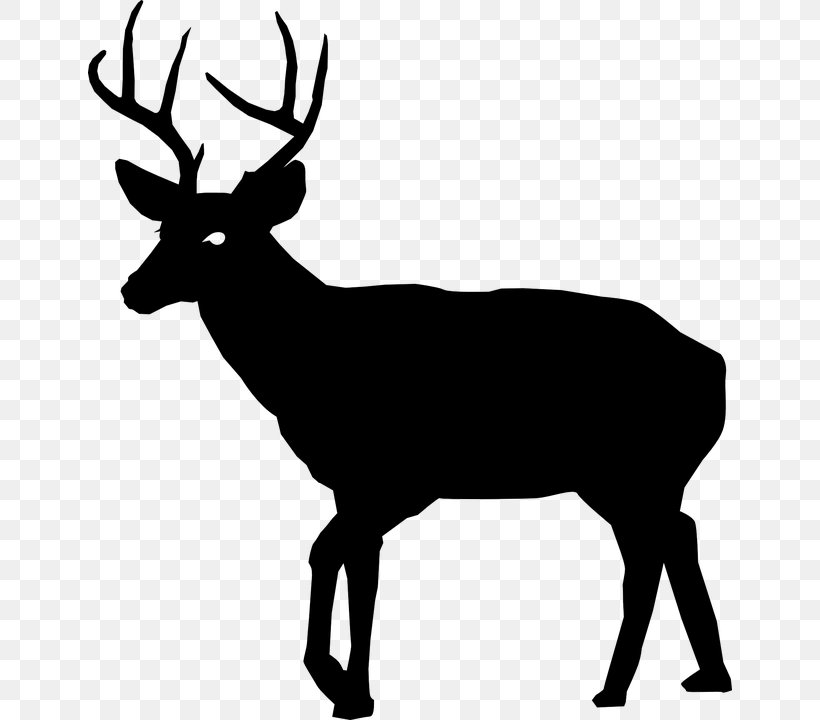 White-tailed Deer Deer Hunting Clip Art, PNG, 644x720px, Deer, Antler, Black And White, Can Stock Photo, Deer Hunting Download Free