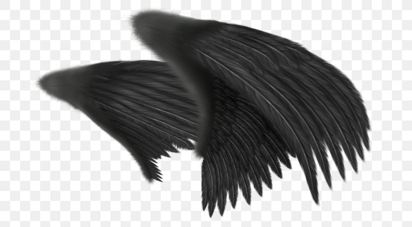 Wing Angel Feather Clip Art, PNG, 700x452px, Wing, Angel, Art, Black, Black And White Download Free