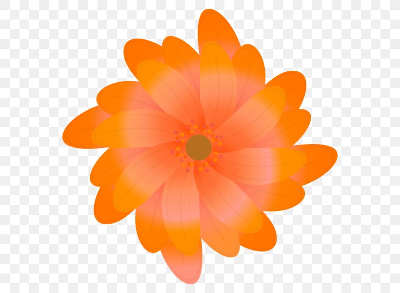Dahlia Orange S.A., PNG, 600x600px, Dahlia, Daisy Family, Flower, Flowering Plant, Orange Download Free
