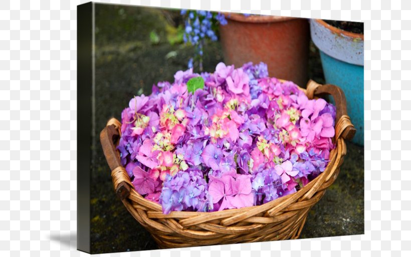 Hydrangea Cut Flowers Sales Floral Design, PNG, 650x513px, Hydrangea, Cornales, Cut Flowers, Floral Design, Floristry Download Free