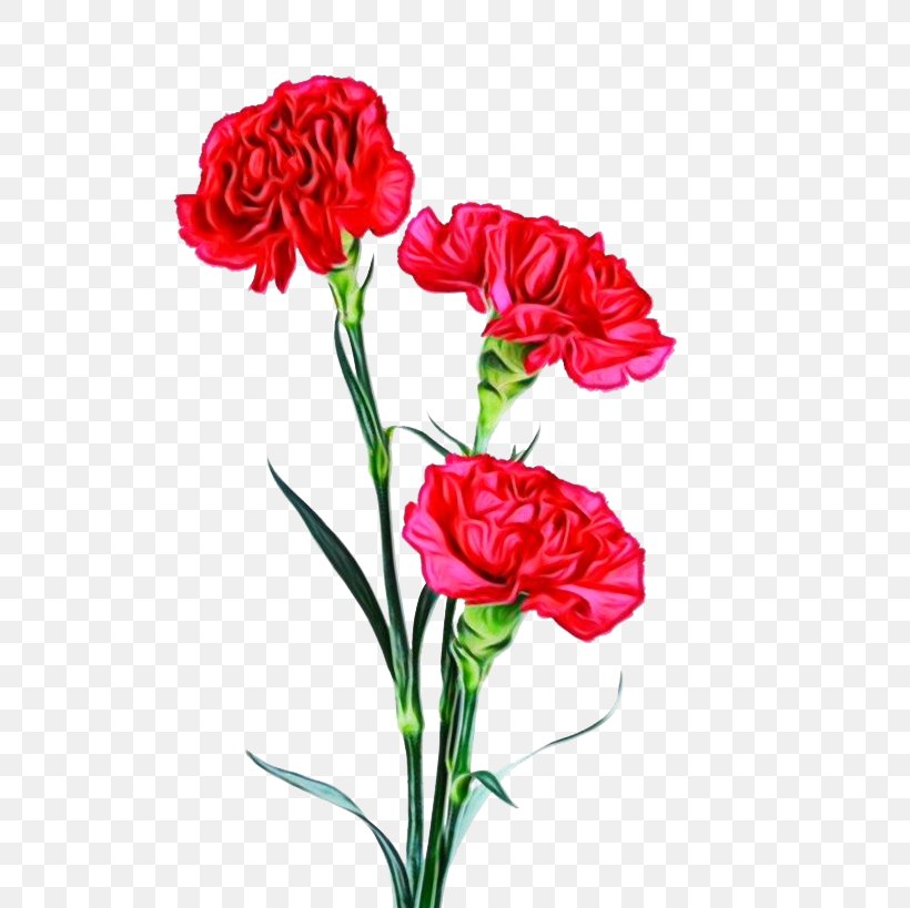 Lily Flower Cartoon, PNG, 600x819px, Flower, Artificial Flower, Bouquet, Carnation, Caryophyllales Download Free
