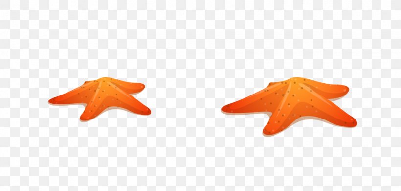Starfish, PNG, 934x445px, Starfish, Orange, Wing Download Free