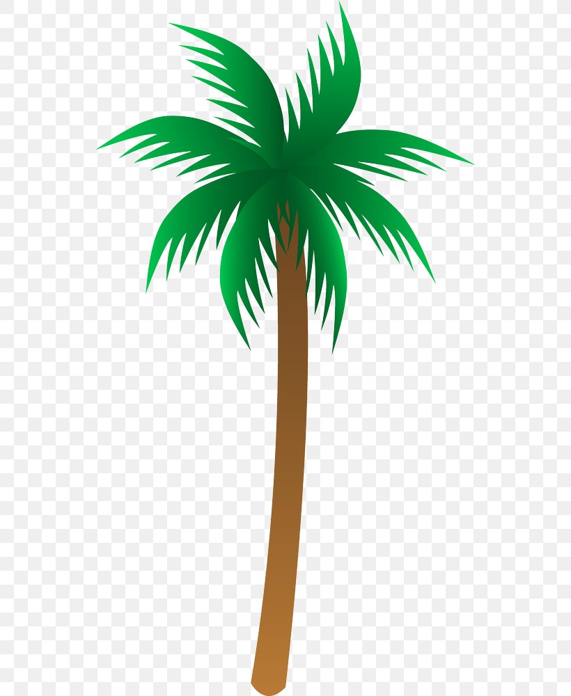 Arecaceae Drawing Clip Art, PNG, 546x1000px, Arecaceae, Arecales, Art, Branch, Cartoon Download Free