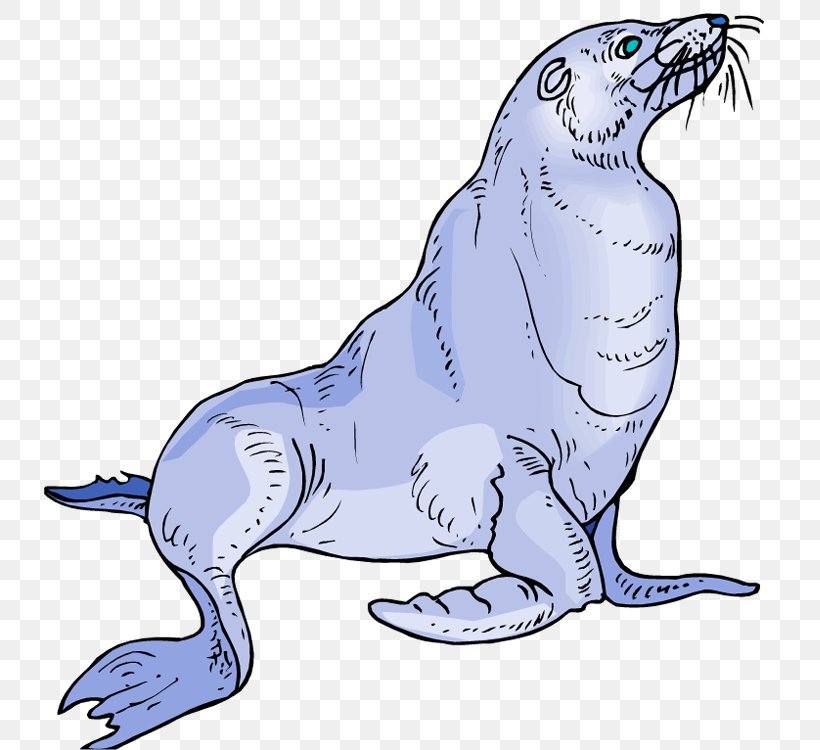 Baby Sea Lion Pinniped Clip Art, PNG, 732x750px, Watercolor, Cartoon, Flower, Frame, Heart Download Free